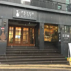 ホテル ピーターキャット シンチョン（ホンデ）, ソウル特別市